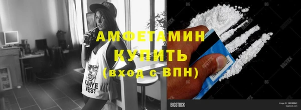 стаф Алзамай