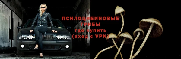 стаф Алзамай