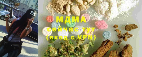 стаф Алзамай